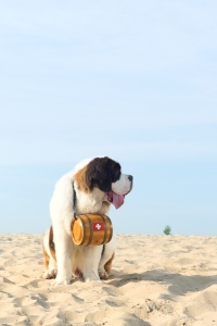 Rescue dog with barrel
